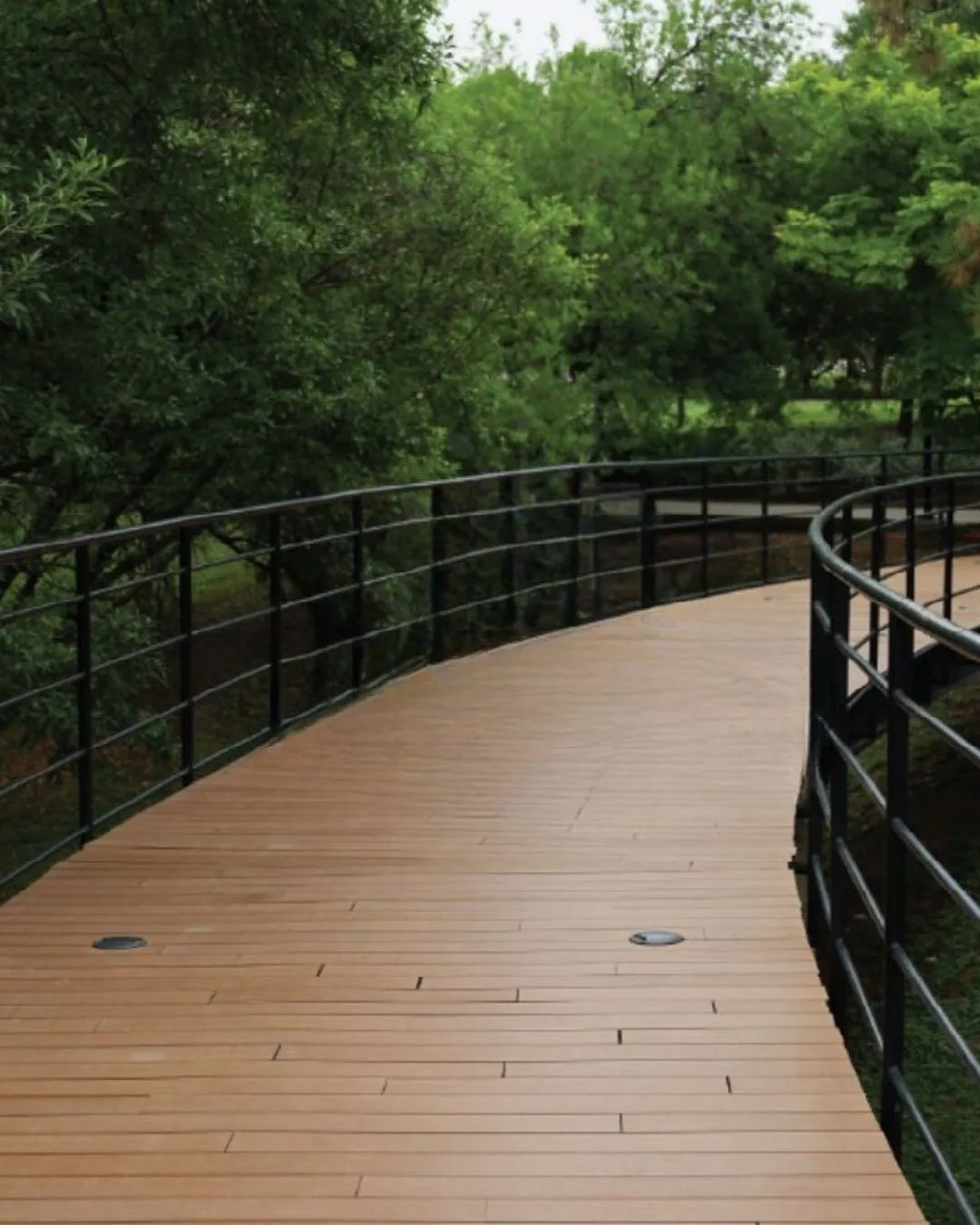 Andador curvo de deck WPC tono madera con barandal negro, entre árboles