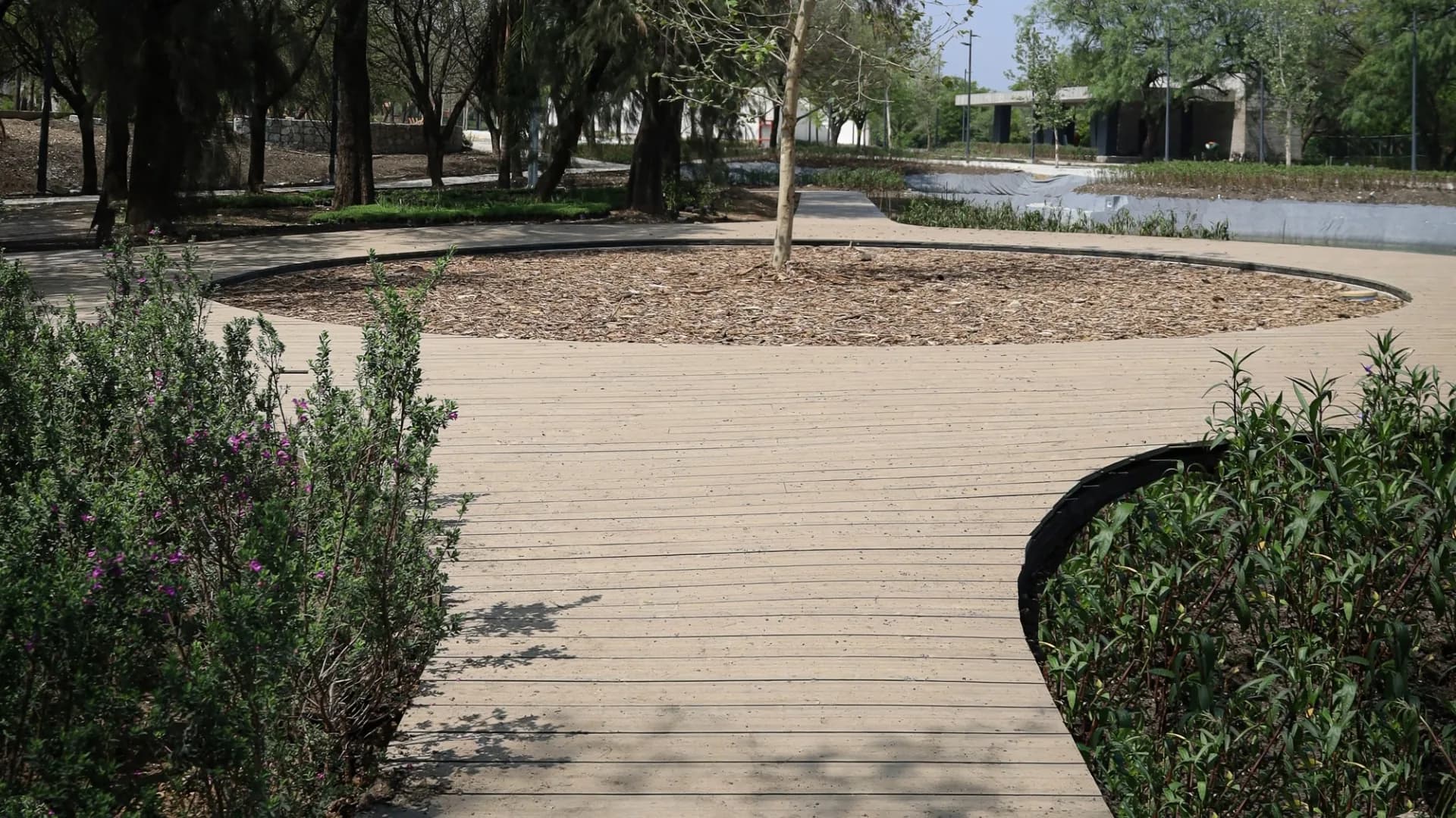 Plaza circular de Deck Sólido WPC alrededor de un árbol en el Parque del Agua, en Guadalupe, Nuevo León, con el estanque al fondo