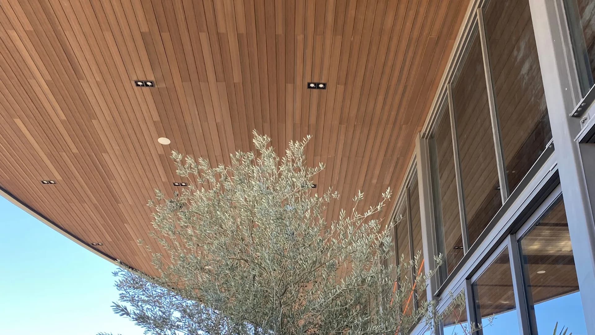 Techo exterior curvo forrado de Wall Cladding WPC en tono madera, con luces empotradas, sobre un olivo en Viñedos Don Perfecto, Arteaga, Coahuila